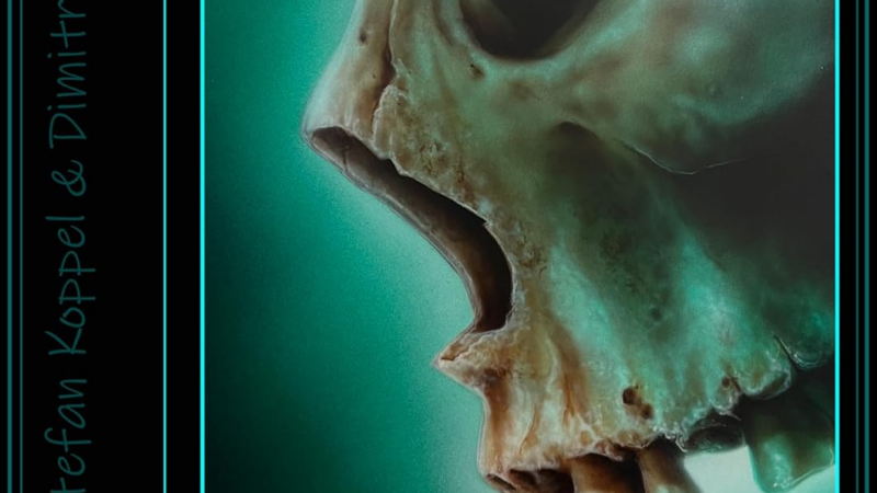 Airbrush Fachbuch Howto Airbrush Skulls für Anfänger und Fortgeschrittene