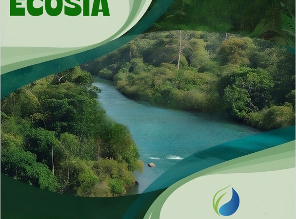 Ecosia and BioTara Join Forces to Protect Amazonian Rainforests together with Local Communities