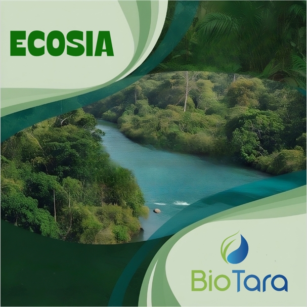 Ecosia and BioTara Join Forces to Protect Amazonian Rainforests together with Local Communities