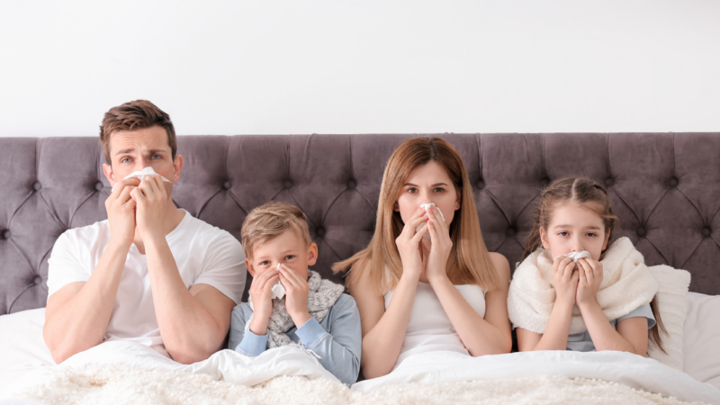 Endlich ruhig schlafen- Allergie Abwehr und -prophylaxe im Bett