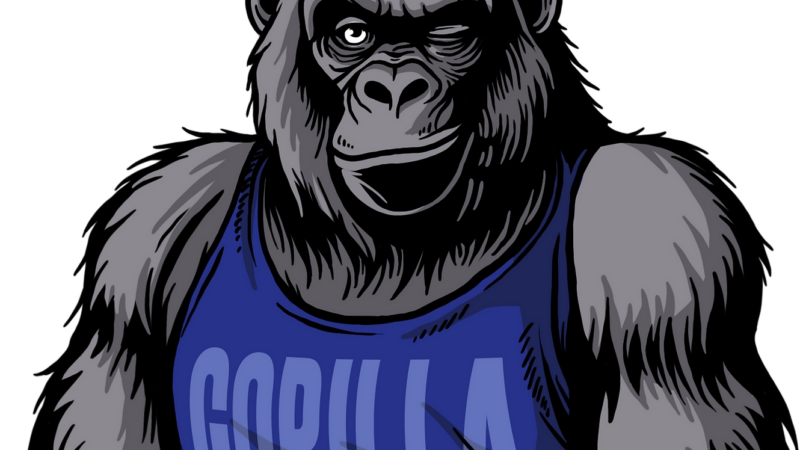 GORILLA marketing bläst kreatives Design ins Ländle