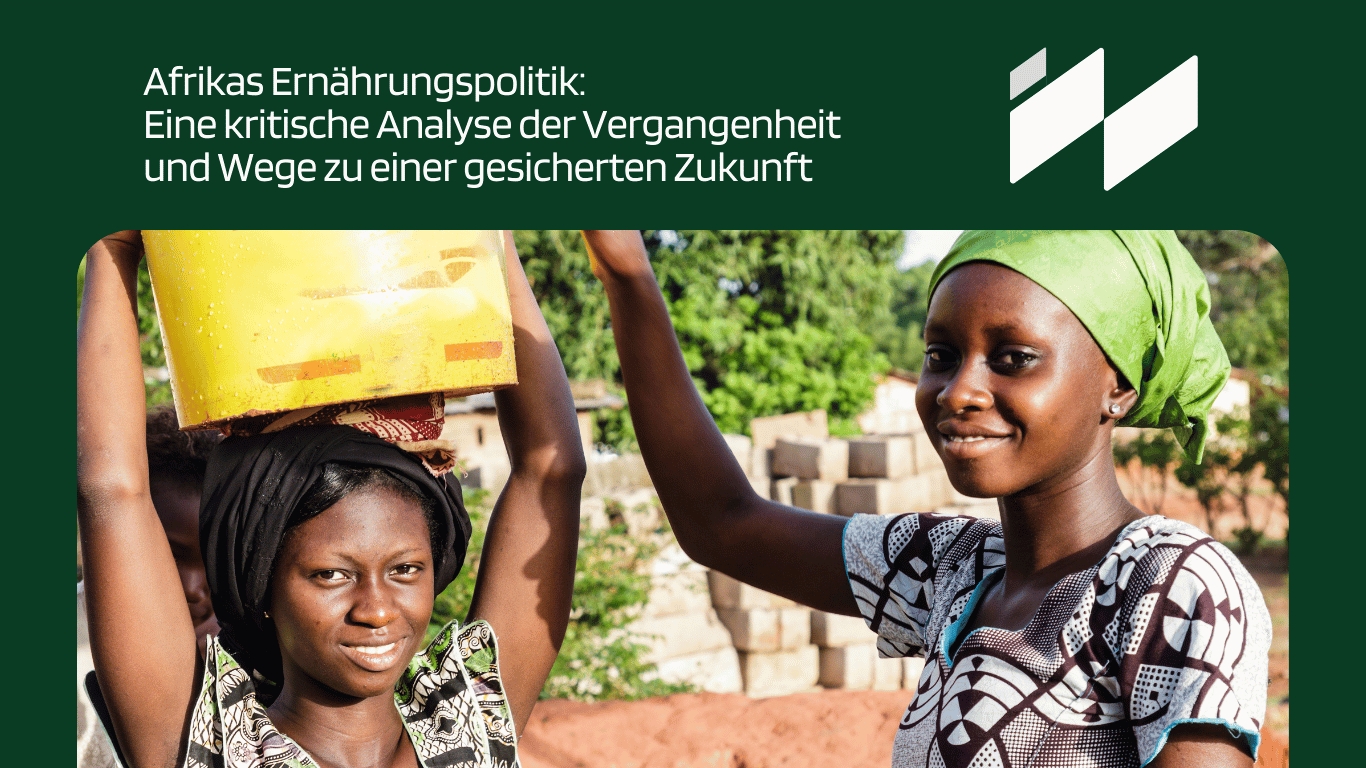 Afrikas Ernährungspolitik: Eine kritische Analyse der Vergangenheit und Wege zu einer gesicherten Zukunft