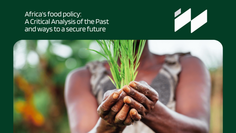 Africa’s Food Policy: A Critical Analysis of the Past and Pathways to a Secure Future