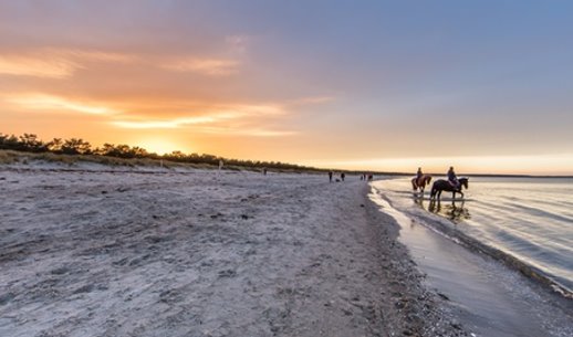 Baugrundstücke zu verkaufen Insel Rügen Glowe  ca 200 m zur Ostsee sofort bebaubar keine Courtage