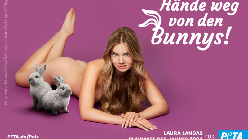 Playmate des Jahres 2024 zeigt die nackte Wahrheit! Laura Langas präsentiert sexy PETA-Motiv gegen Pelz: „Hände weg von den Bunnys!“