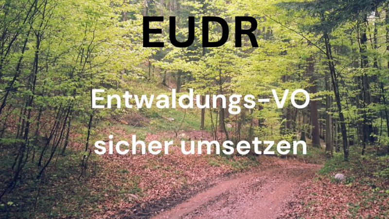 Neue EU-Verordnung zur Entwaldungsfreiheit (EUDR)