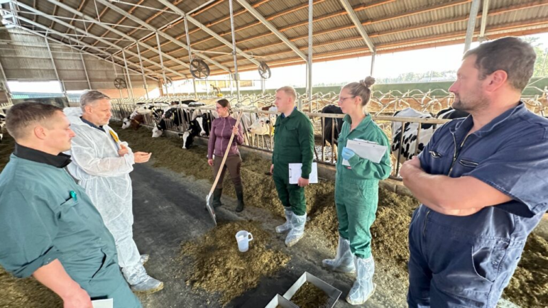 Gemeinsamer AVA- Fütterungscontrolling-Workshop im Milchkuhbetrieb