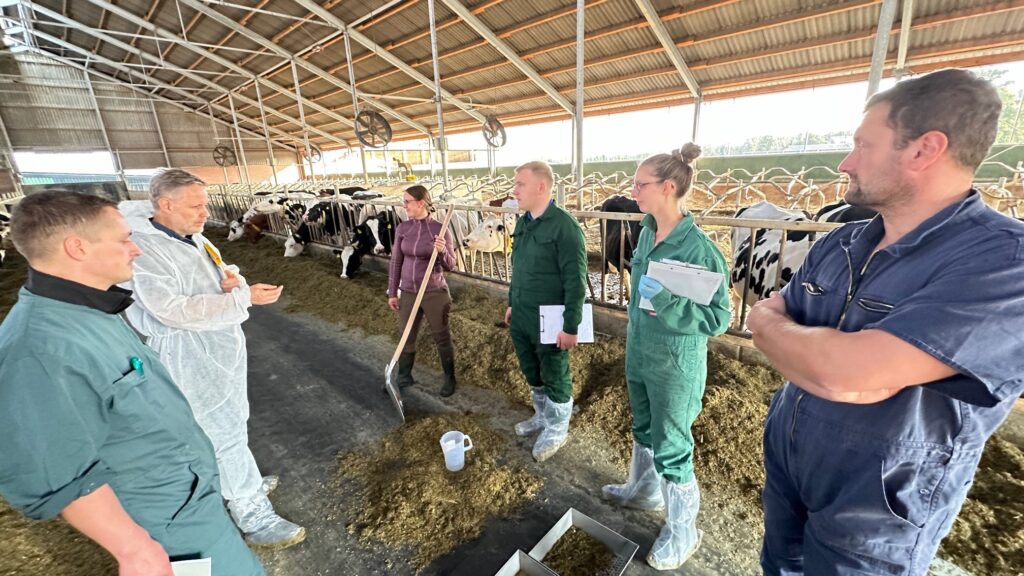 Gemeinsamer AVA- Fütterungscontrolling-Workshop im Milchkuhbetrieb