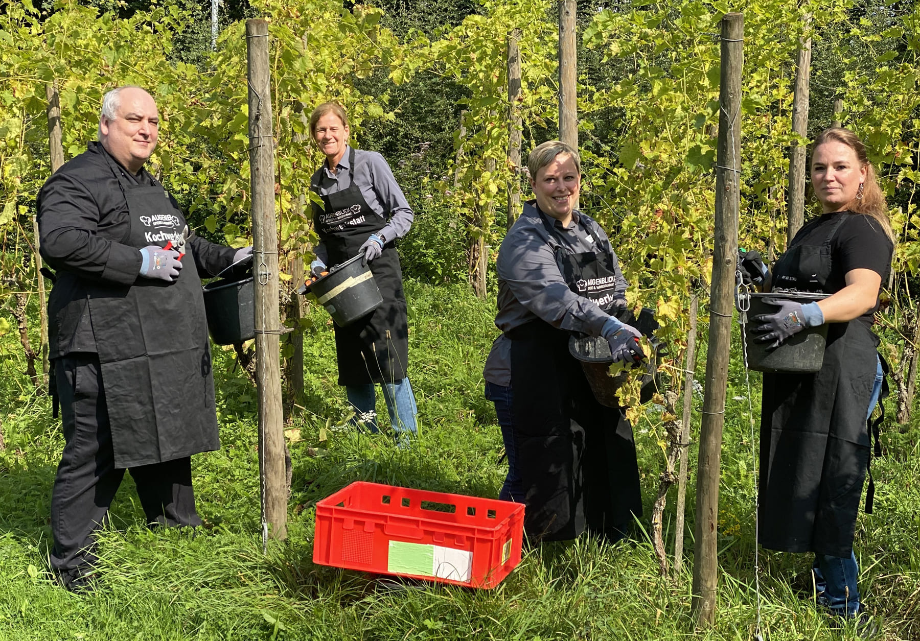 Das Team des Mercure Tagungs- & Landhotel Krefeld traf sich zur Lese der 99 hauseigenen Rebstöcke