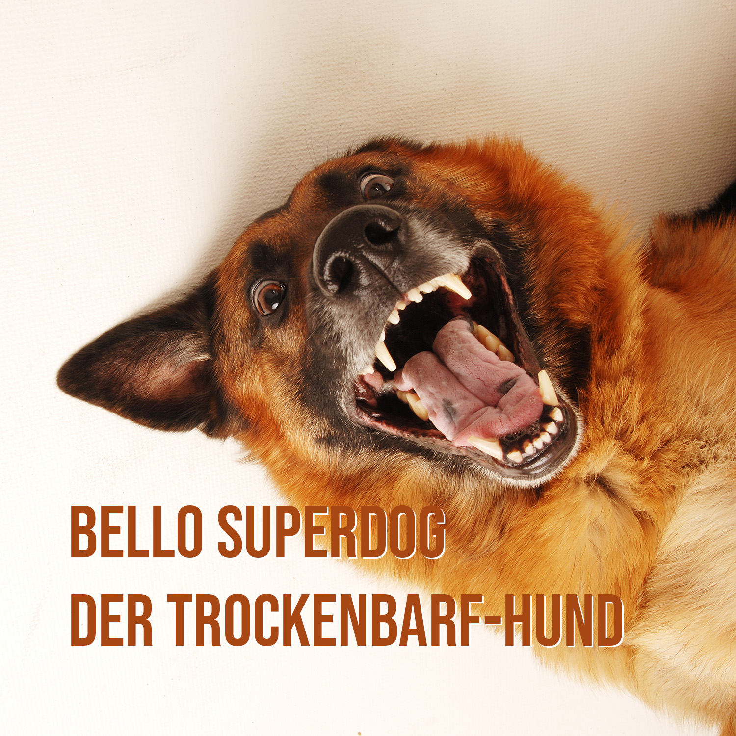 Bello – der Trockenbarf Hund – die Revolutionsgeschichte