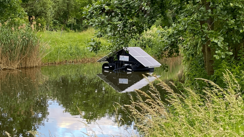 Simple Naturgesetze für saubere Flüsse, Teiche und Seen