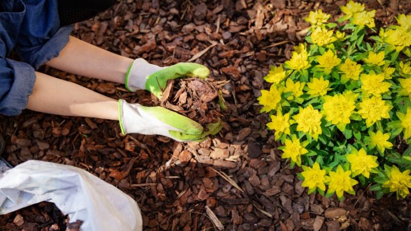 Rindenmulch