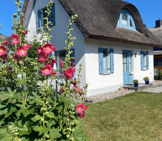 Urlaub mit Hund Grundstücke eingezäunt  20 % Rabatt auf den Mietpreis bei Sofortbuchung