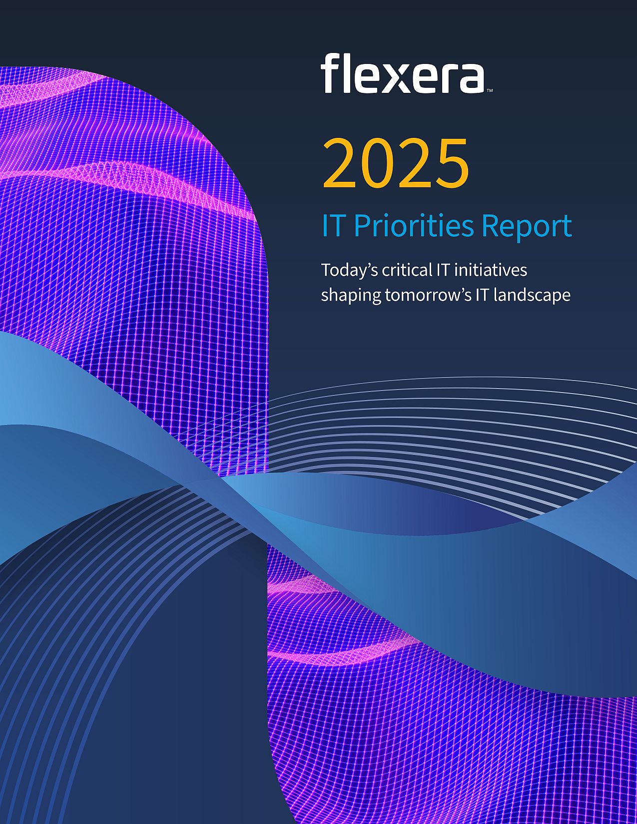 Flexera Report: IT-Prioritäten 2025 – IT-Führungskräfte erwarten massiven KI-Ruck