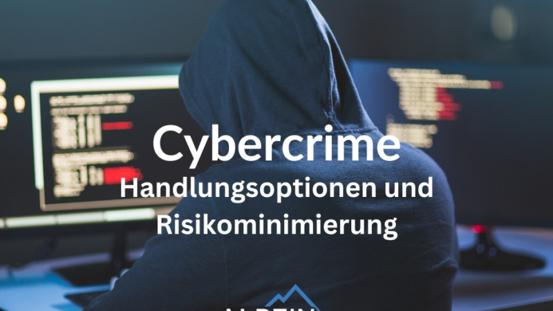 Cyberangriffe: Handlungsoptionen und Risikominimierung