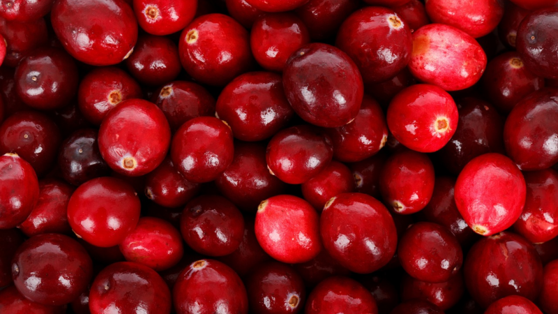 Auranatura Erfahrungen: Die gesundheitlichen Aspekte der Cranberry im Fokus