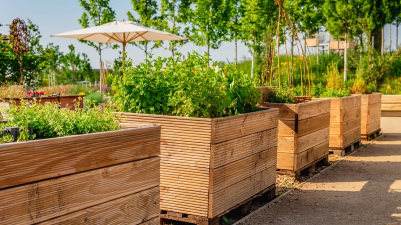 Hochbeeterde: Die geheime Waffe für Ihren Garten