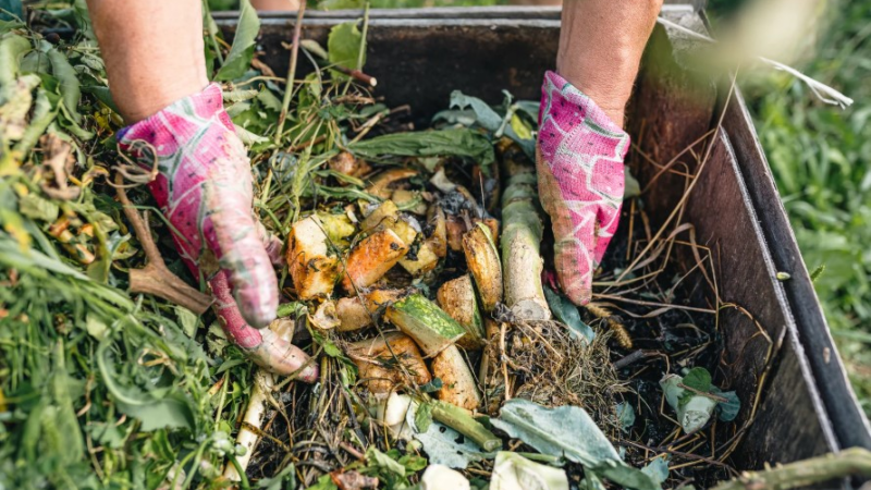 Kompostierung: Nachhaltigkeit im eigenen Garten