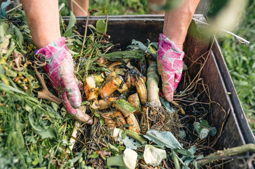 Kompostierung: Nachhaltigkeit im eigenen Garten