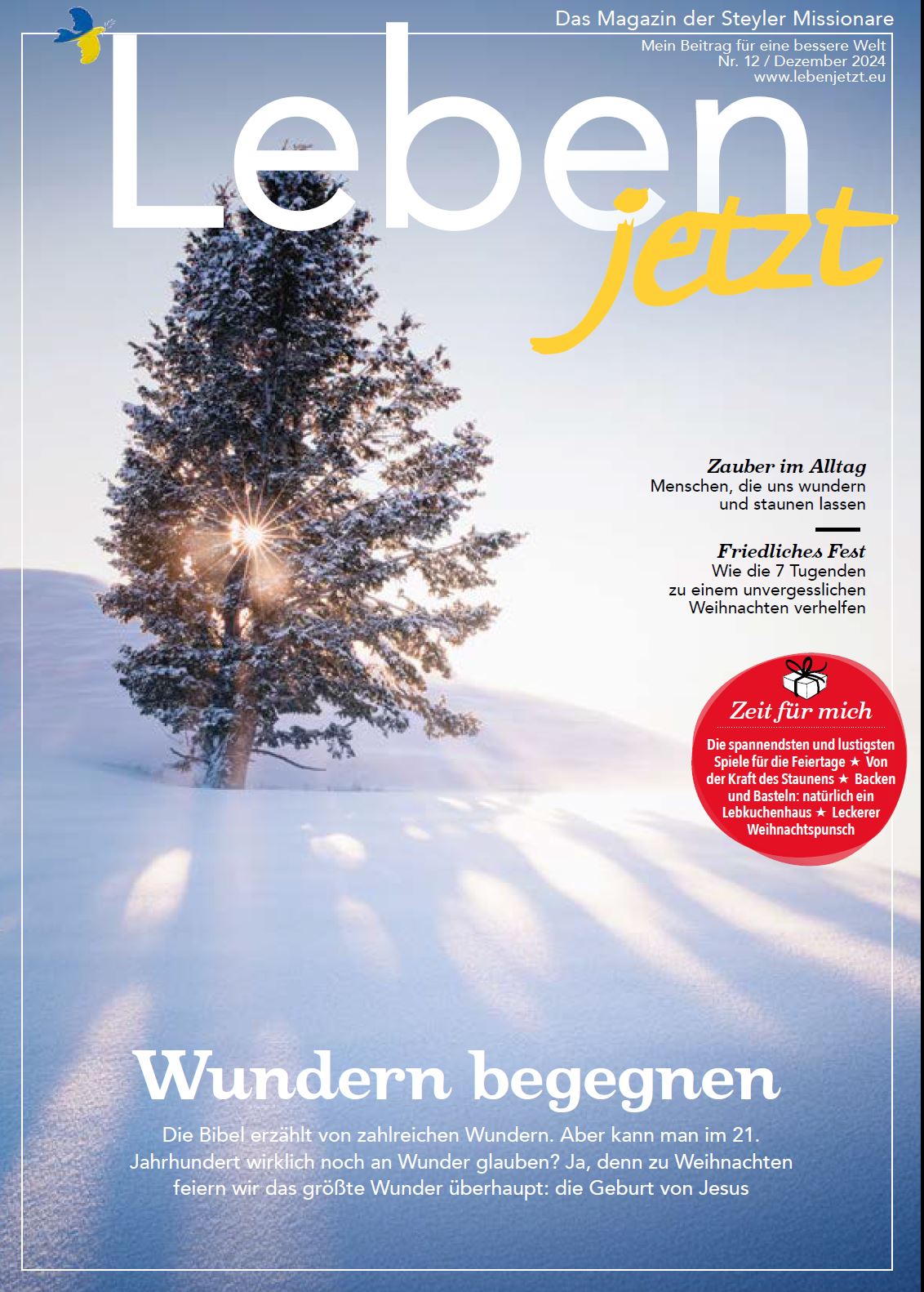 Friede, Freude… Weihnachtsstress und Winterblues