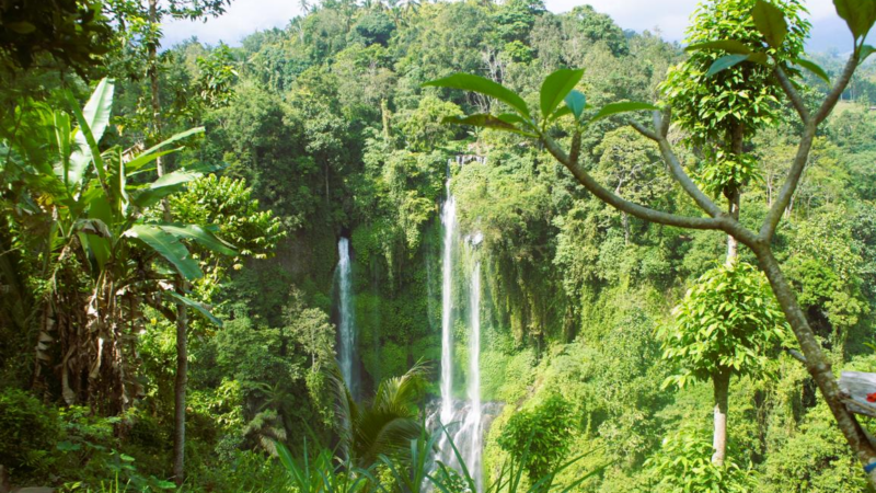 Naturerlebnis auf Bali – Sekumpul Wasserfall