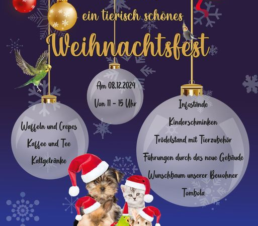 Tierisches Vorweihnachtsfest in der Tierherberge Kamp-Lintfort