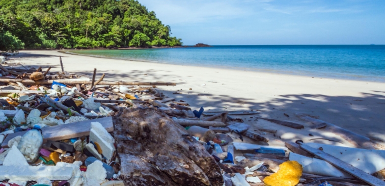 Voin Plastikmüll zu fortschrittlichem Bio-Öl !!