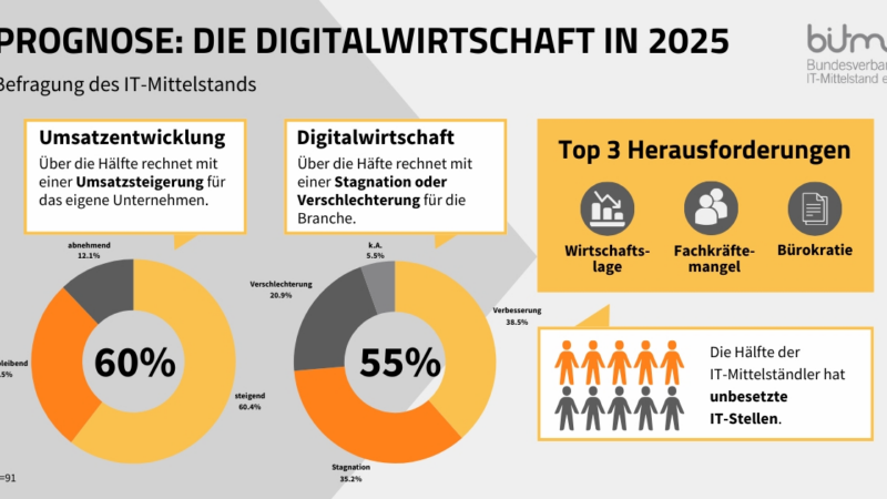 BITMi-Jahresprognose für 2025