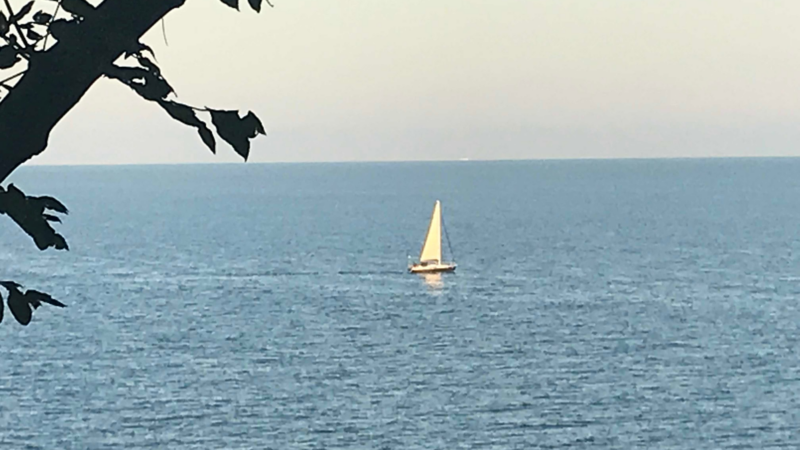 RARITÄT ! Baugrundstücke am Meer Insel Rügen zu verkaufen