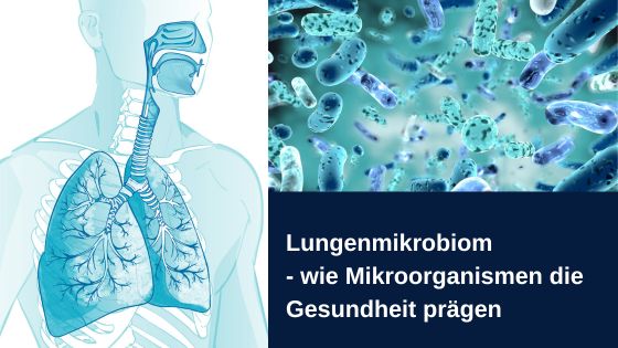 Lungenmikrobiom – wie Mikroorganismen die Gesundheit prägen