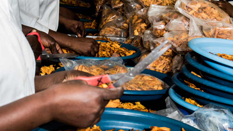 Neue Cashew und Mango Fabrik von gebana in Burkina Faso