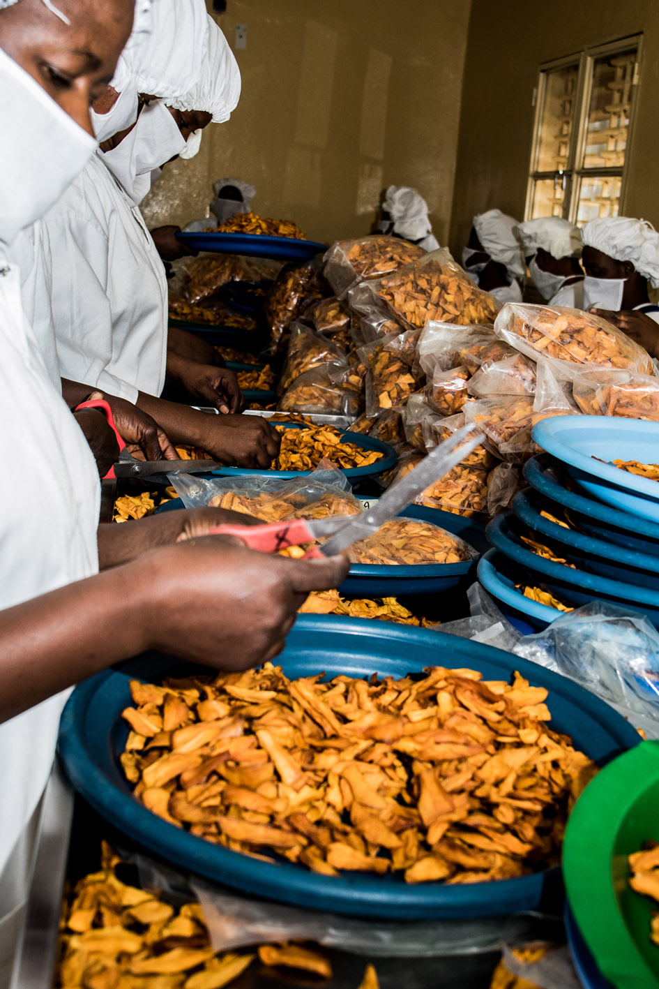 Neue Cashew und Mango Fabrik von gebana in Burkina Faso