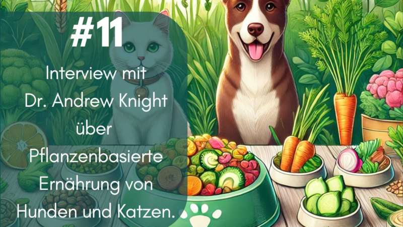 Vegane Ernährung für Hunde und Katzen: Revolution oder Risiko?