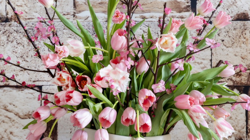 Mit diesen Tipps bleiben Tulpen länger frisch