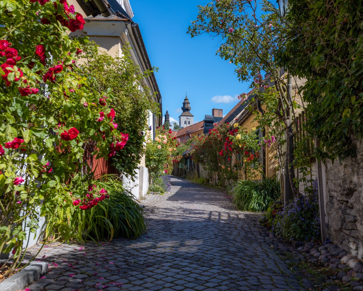 skandinavientrips erweitert Portfolio: Neue Fotoreisen nach Schweden