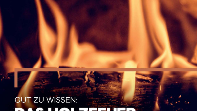 Das Holzfeuer im Faktencheck