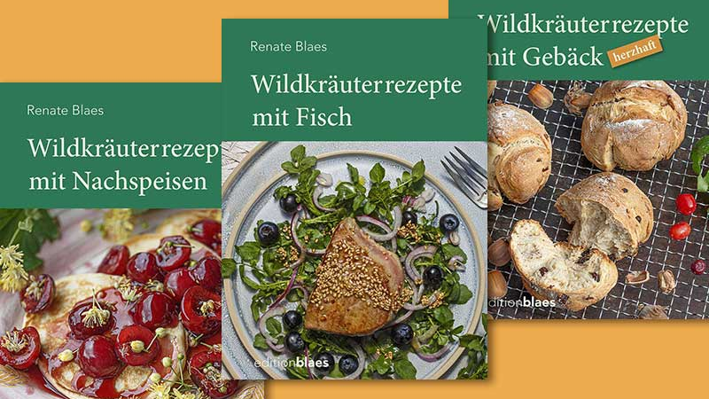 Kreative Wildkräuterrezepte für jede Gelegenheit