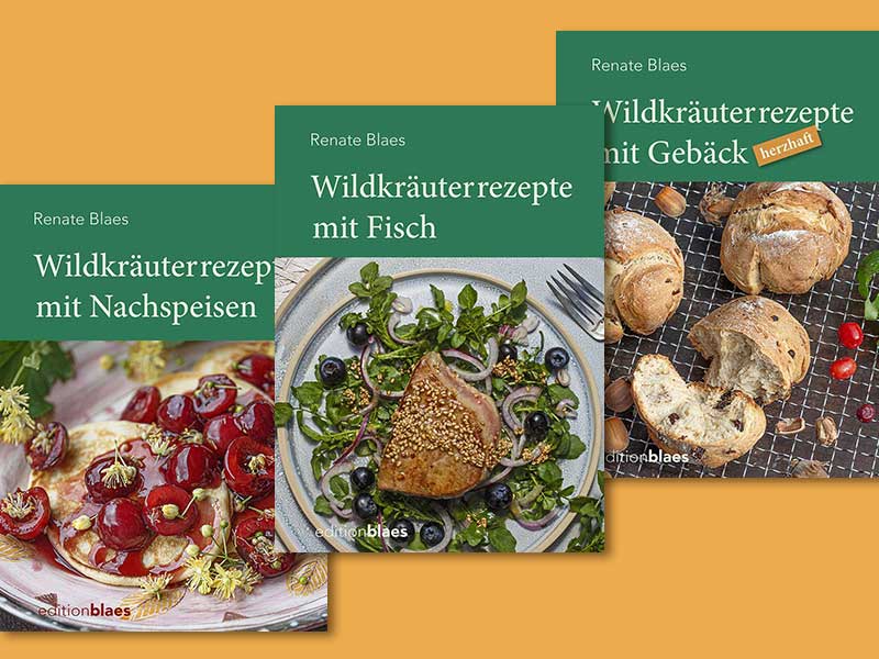 Kreative Wildkräuterrezepte für jede Gelegenheit