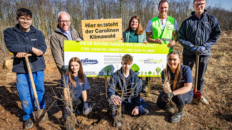 Klimawald 2.0: Carolinen und KlimaWoche Bielefeld starten neue Baumpflanzaktion im Teutoburger Wald