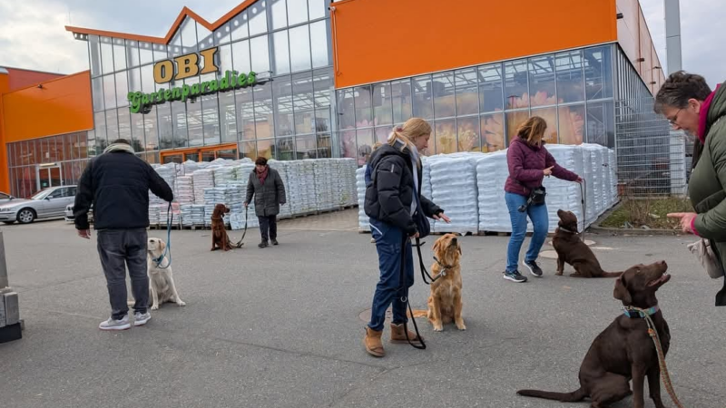 Hundeschule Luftleine aus Trebur trainiert im OBI-Baumarkt