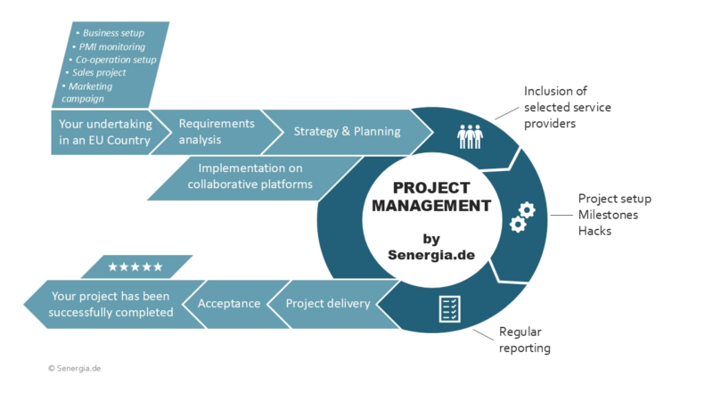 International Management of Business Projects