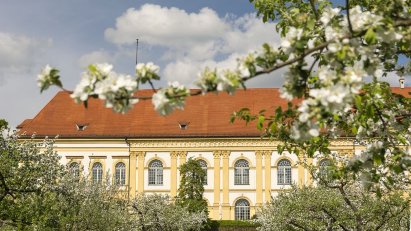 Die Apfelblüte im Hofgarten Schloss Dachau – Perfekt auch als Familienausflug
