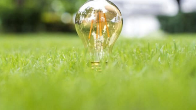 LUOX Energy Erfahrungen: Dynamische Stromtarife optimal mit Photovoltaik kombinieren