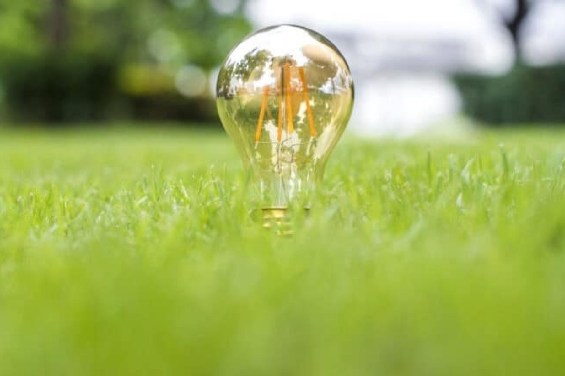 LUOX Energy Erfahrungen: Dynamische Stromtarife optimal mit Photovoltaik kombinieren