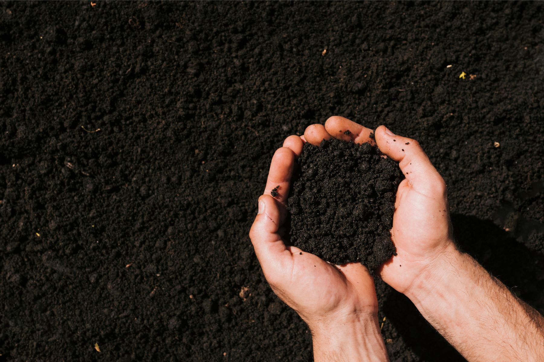 Qualitätskompost von Wurzer Umwelt – Nachhaltige Nährstoffe für Landwirtschaft und Gartenbau