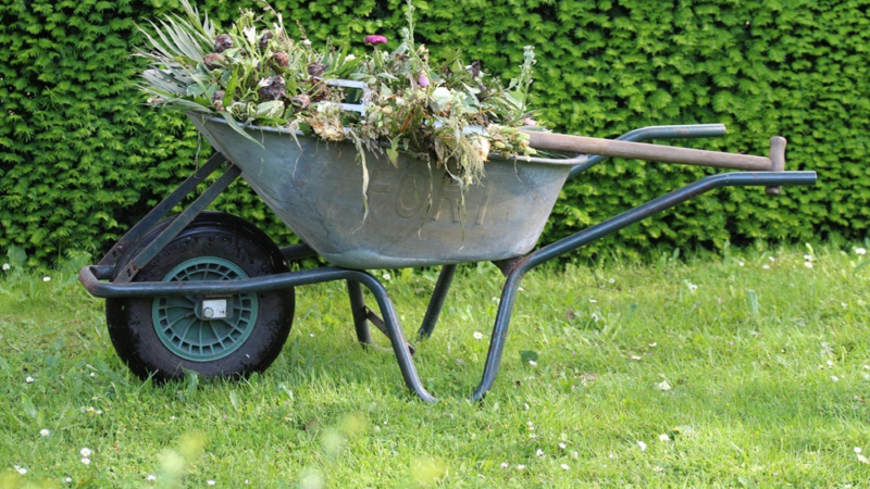 ARAG Verbrauchertipps mit nackten Tatsachen