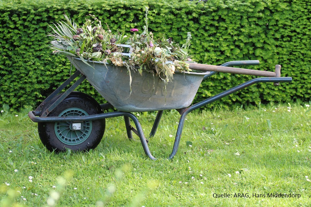 ARAG Verbrauchertipps mit nackten Tatsachen
