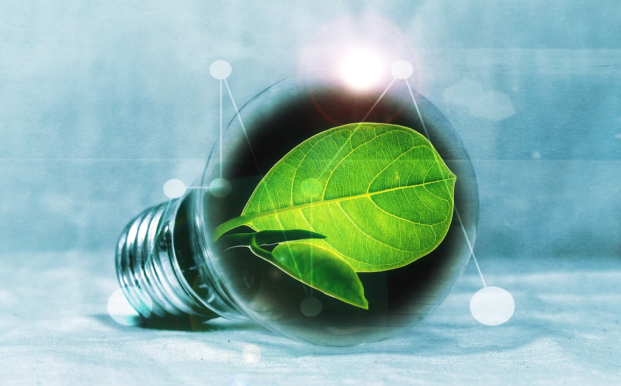 Wurzer Umwelt – Bioenergiezentrum als Vorreiter für erneuerbare Energie aus Bioabfällen