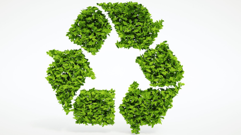 Wurzer Umwelt – Fortschrittliche Maschinenentwicklung für ein sicheres und umweltfreundliches Recycling