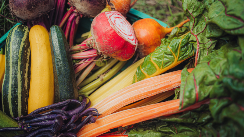 „So sollte Frische schmecken“: Knuspr startet Themenaktion zur Haupterntezeit